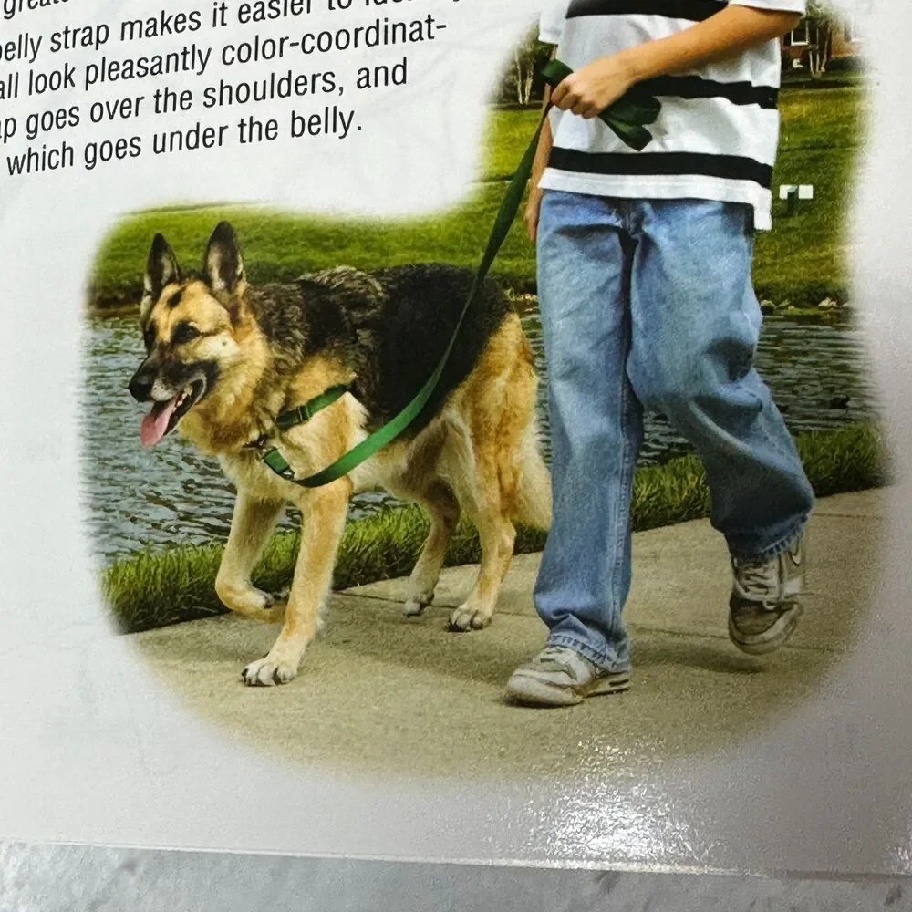 PetSafe pet safe